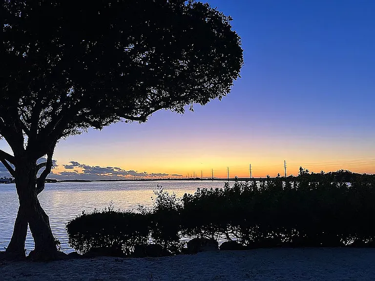 300 Duck Key Dr #11 — Photo 14