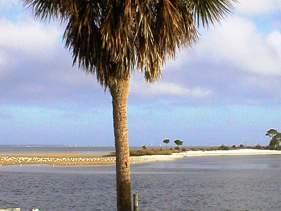 Semi-tropical Waterfront Lot