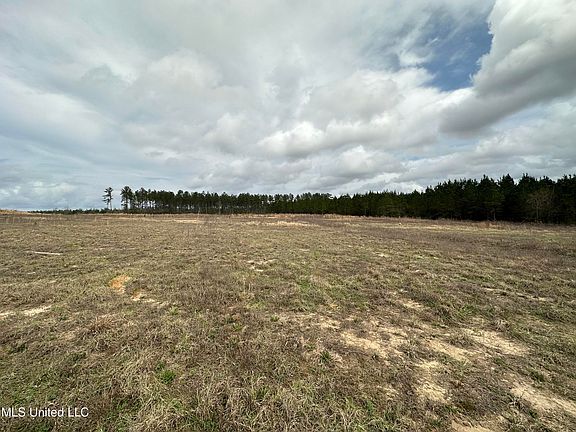 2nd image of Roy Fairley Dr Lot 2&3