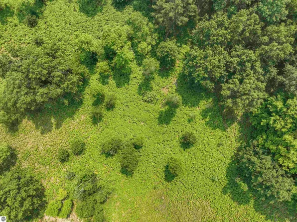 Hemlock Rd, Lake, MI 48632