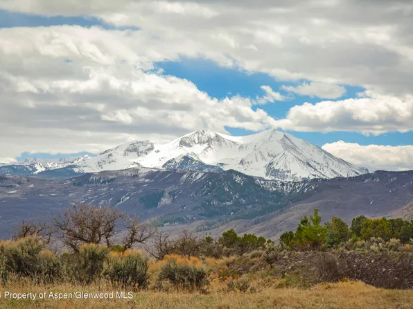 587 Fox Run Dr, El Jebel, CO 81623