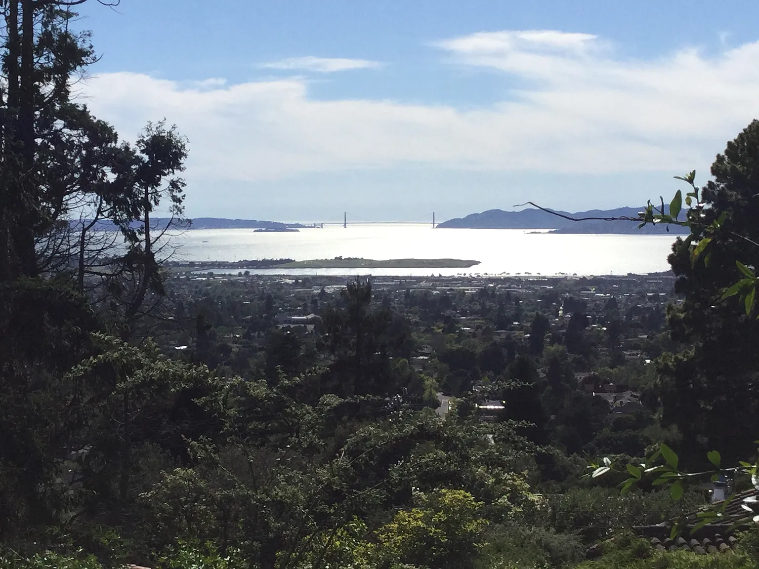 Keith Ave, Berkeley — Photo 2