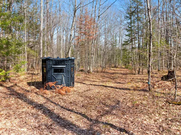 Buettner Rd, White Lake, WI 54491
