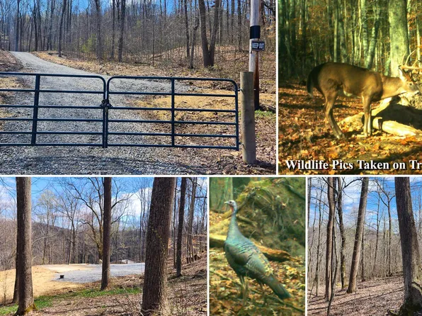 0 Pike Lake Rd Tract 2, Bainbridge, OH 45612