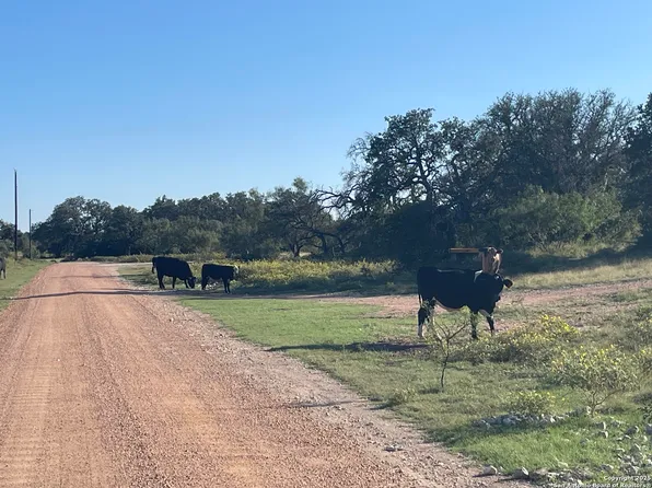 3200 Elm Springs Trl LOT 17, Menard, TX 76859