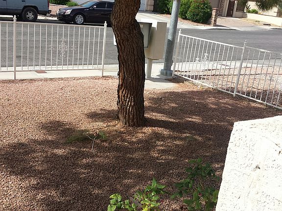 Front Yard