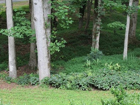 4th image of 523 Greenwood Dr
