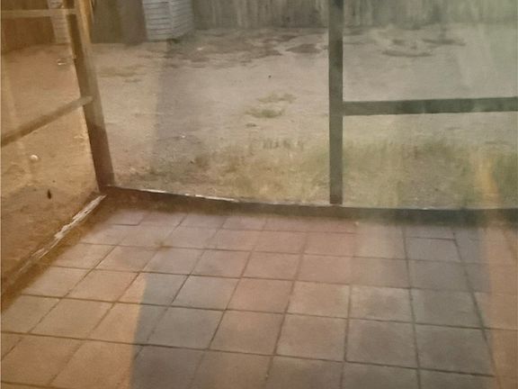 5th image of 1260 Mirage Dr