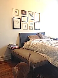 Rented by A D Shaye Realty Group 