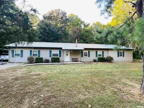 25001 Old Salt Trl, Stonefort, IL 62987