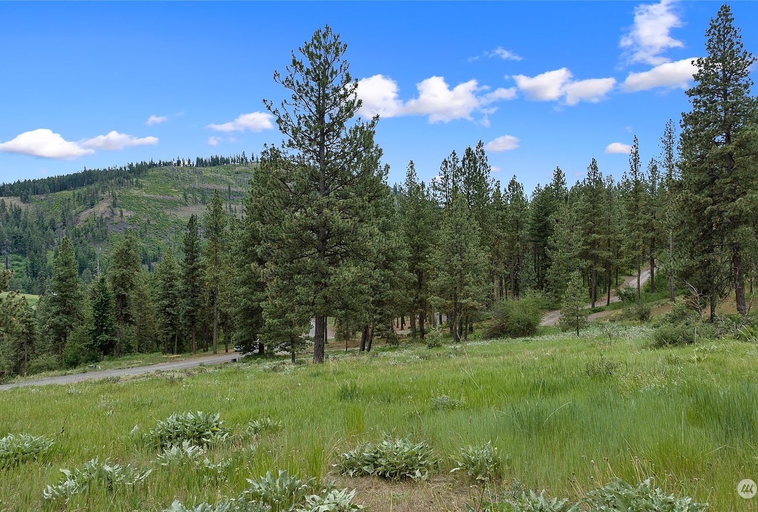 0 2B Swauk Pines, Cle Elum, WA 98922 Zillow