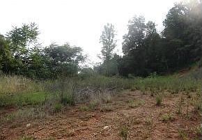 1st image of 4872 Memorial Blvd