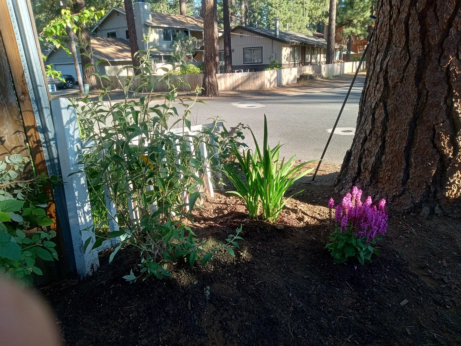 966 Modesto Ave — Photo 1