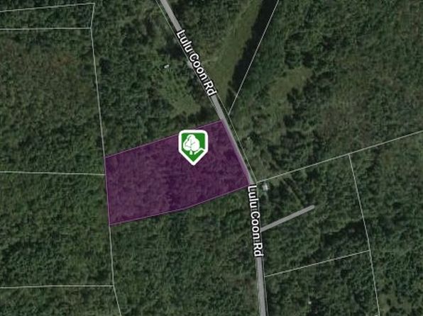 0 Lulu Coon Rd #9, Unadilla, NY 13849