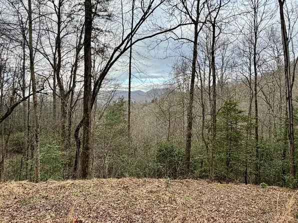 LOT 13 The Rdgs, Hiawassee, GA 30546