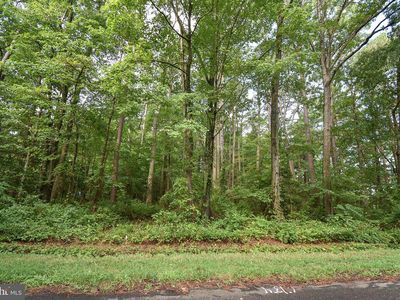 Kemps Ln, McDaniel, MD, 21647