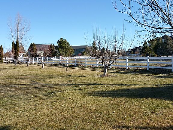Fruit trees