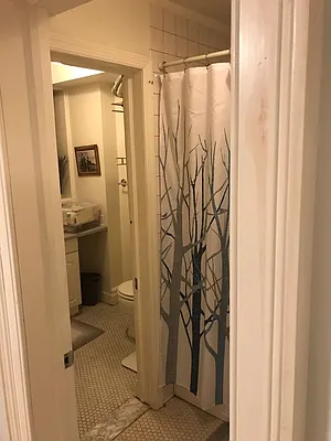 Rented by Brooklyn Properties | media 16