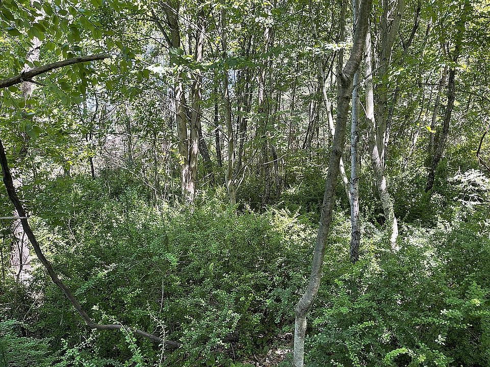 2nd image of Pine Hollow Dr