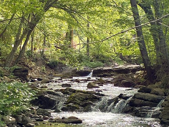 5th image of 805 Rock Creek Rd
