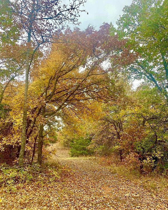 31189 Palimino Dr 12, Tecumseh, OK 74873 Zillow