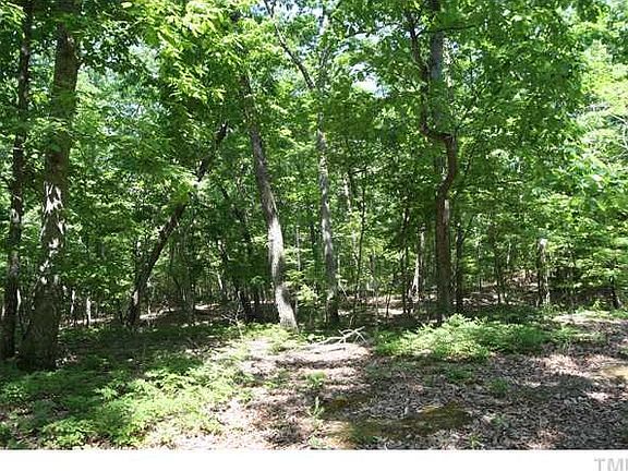 5th image of LOT 1 Thomas Berry Way Lot 1