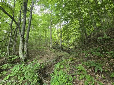 0 Left Poor Valley Rd, Pennington Gap, VA, 24277