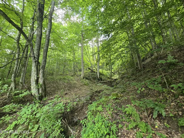 0 Left Poor Valley Rd, Pennington Gap, VA 24277