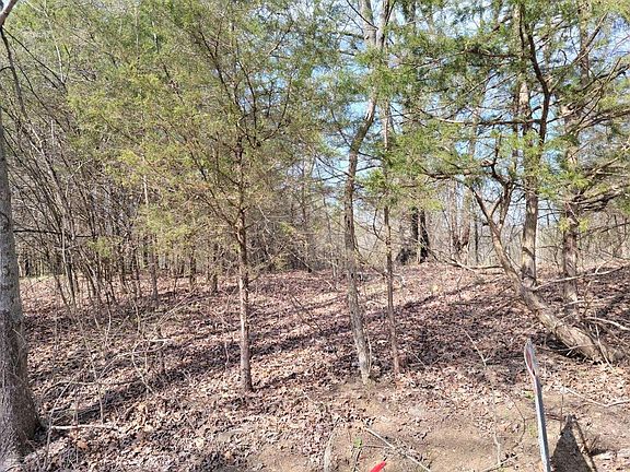 5th image of 0 Union Ridge Rd