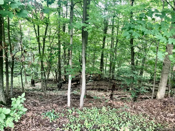 Barber Rd, Metamora, MI 48455