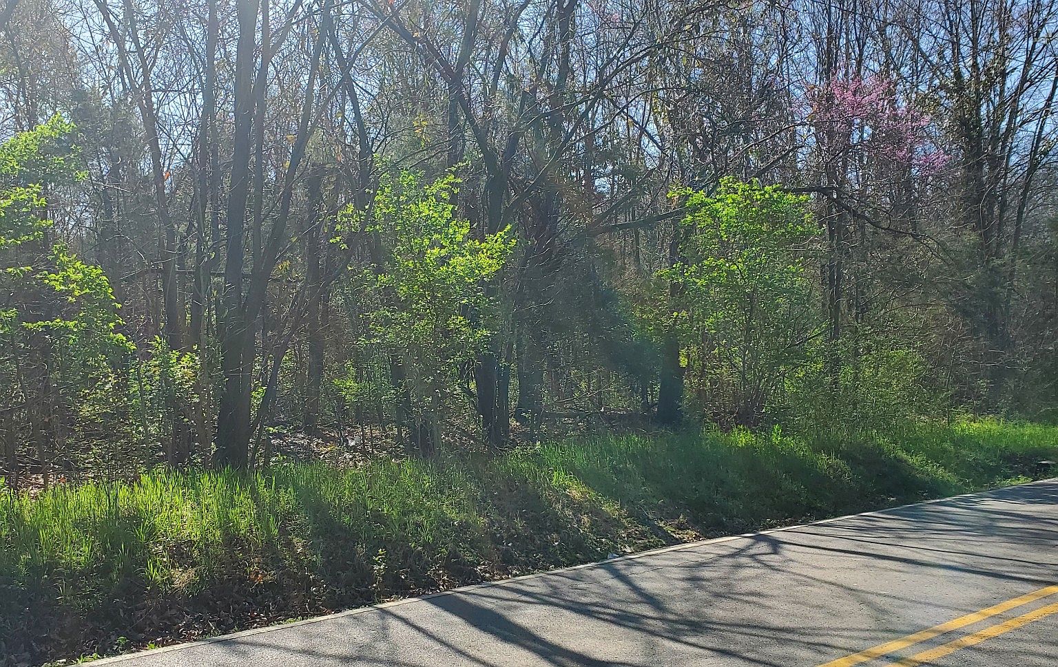 9861 Split Log Rd, Brentwood, TN 37027 Zillow