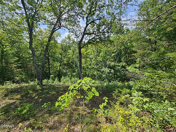 2nd image of 6-7 Pleasure Rd #9
