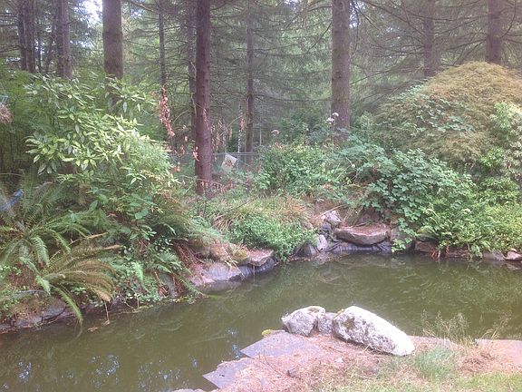 2nd image of 21700 NE 109th St