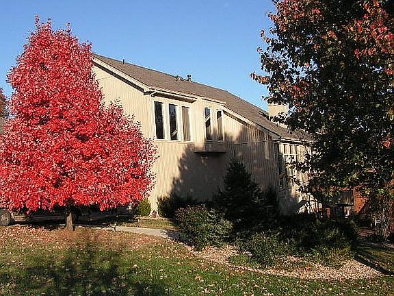 Fall View of Back