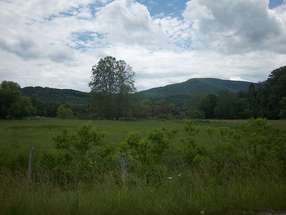 1st image of Carsonville Road