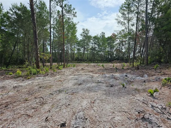 41206 Aspen St #3, Eustis, FL 32736