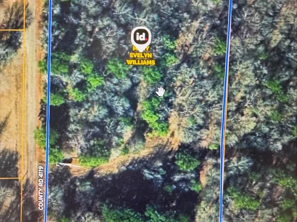 1440 County Road 4119, Daingerfield, TX 75638