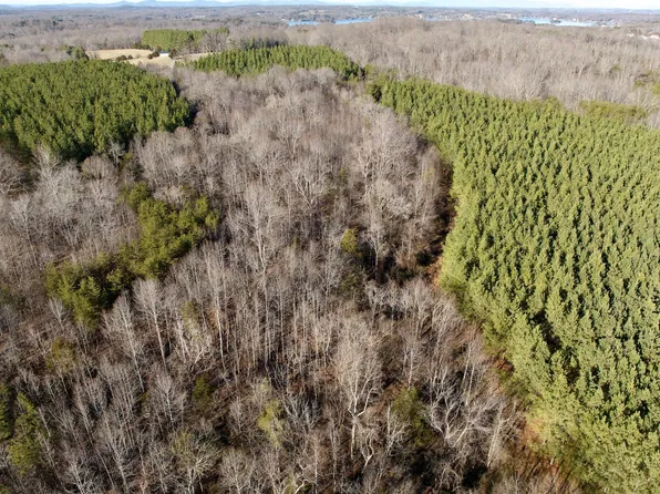 0 Dillards Hill Rd Lot 33 & 34, Union Hall, VA 24176