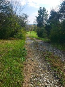 Crawford Bend Rd, Hillsboro, KY, 41049