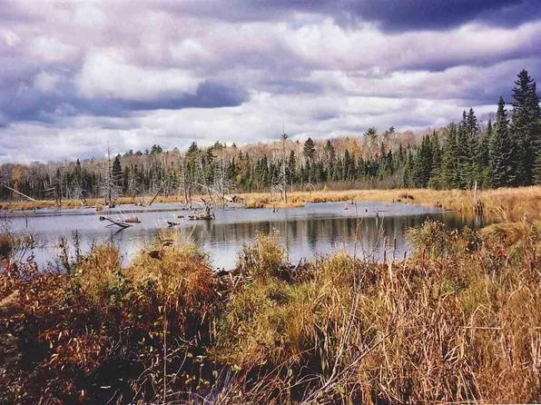 1 Camp 20 Rd, Hovland, MN 55606