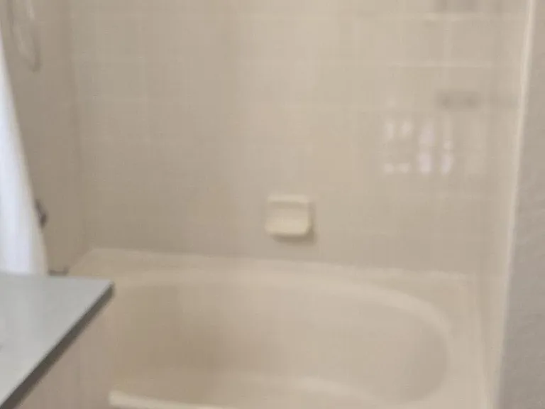 2505 Belmont Ln — Photo 10