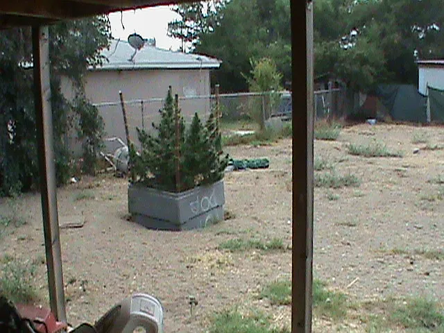 14793 Rosemary Dr — Photo 4
