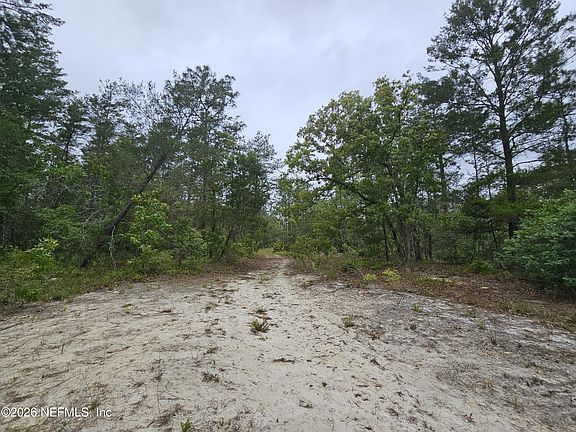 5th image of 248 SADDLEBACK Trail