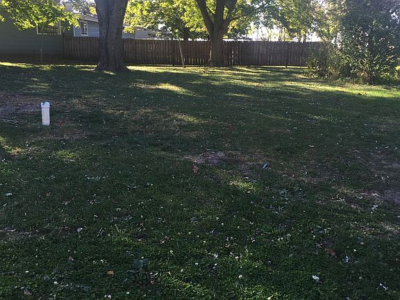 Spacious back yard
