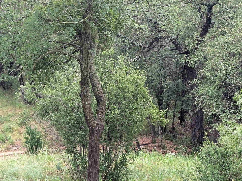 2nd image of 1106 Monterrey Oak Circle