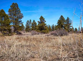 100 High Dr, Pagosa Springs, CO 81147