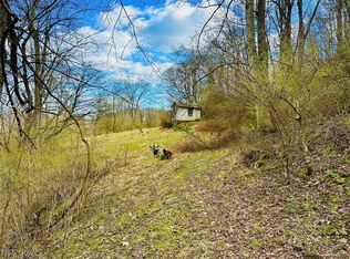 945 Pine Creek Rd, Grantsville, WV 26147