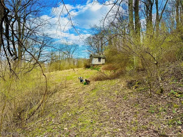 945 Pine Creek Rd, Grantsville, WV 26147