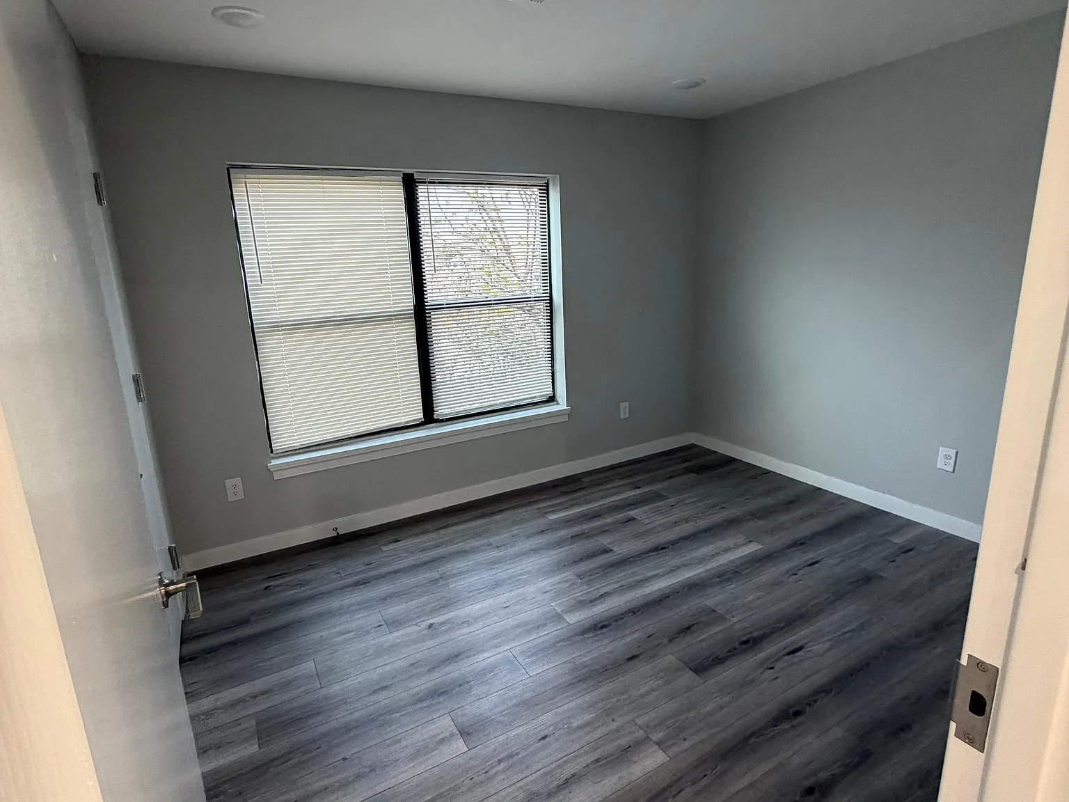 1 bed, 650 sqft, $1,800 — Photo 4