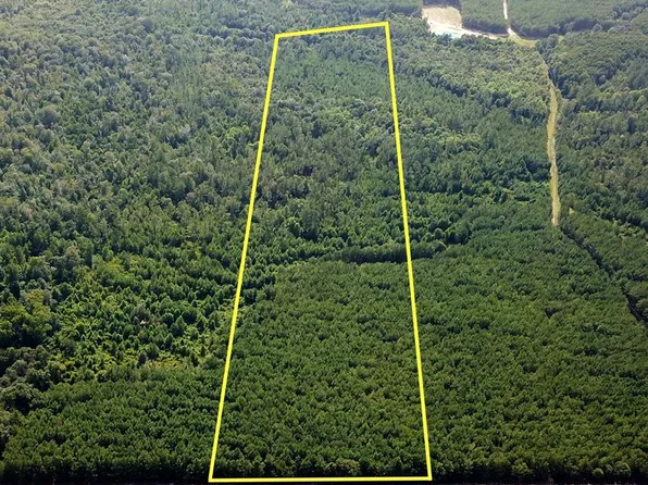 22.656 Acres Tract #13, Cottonwood, AL 36320